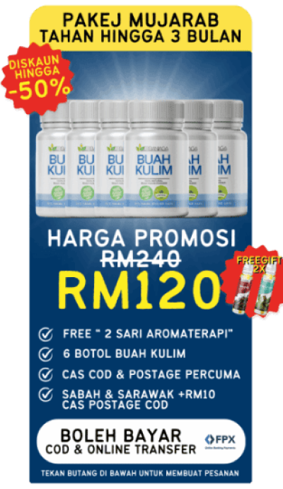 Buah Kulim KedaiHerbaNiaga (14)
