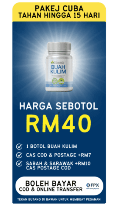 Buah Kulim KedaiHerbaNiaga (18)