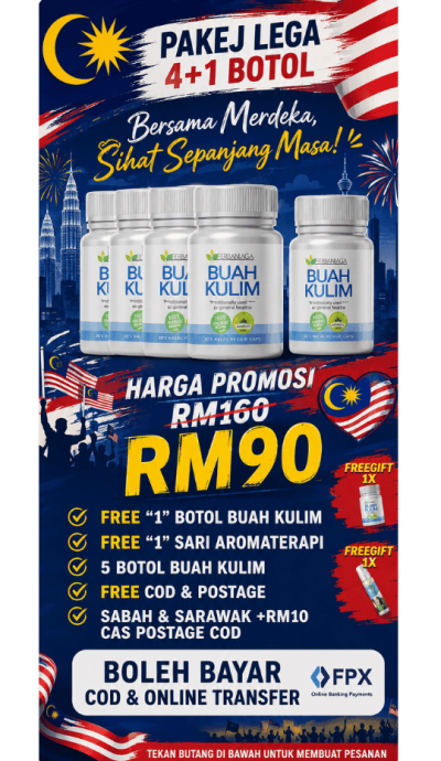 Buah Kulim KedaiHerbaNiaga (21)