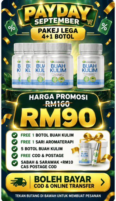 Buah Kulim KedaiHerbaNiaga (27)