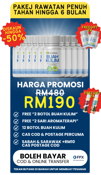 Buah Kulim KedaiHerbaNiaga (4)