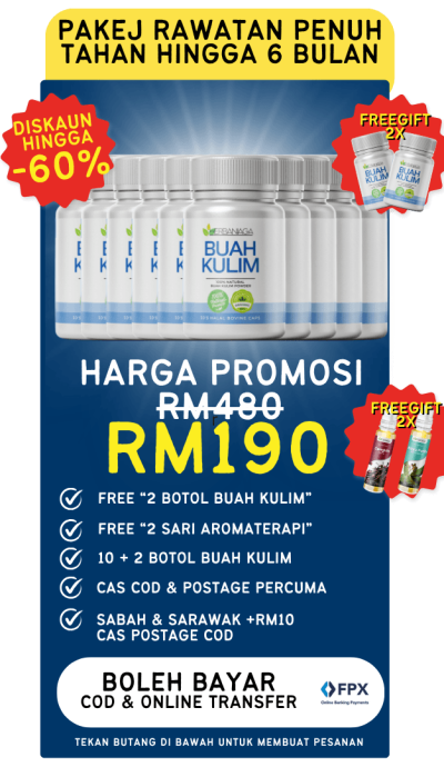 Buah Kulim KedaiHerbaNiaga (7)