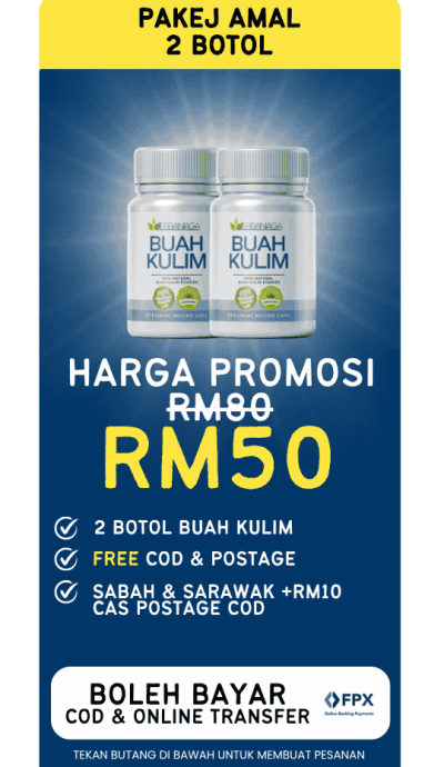 jumbo (4)